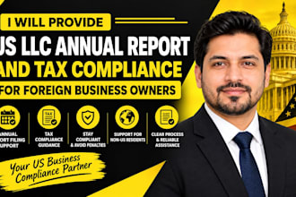 provide US llc annual report and tax compliance for foreign business owner