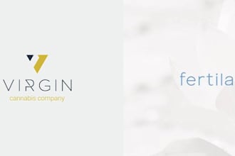 do wordmark logo design