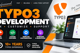 develop, customize and fix your typo3 website