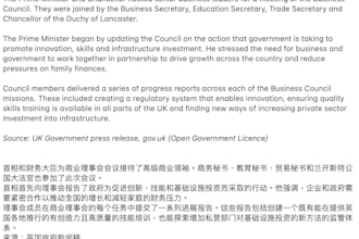 translate english to chinese