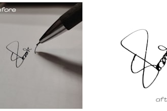 convert signature to vector