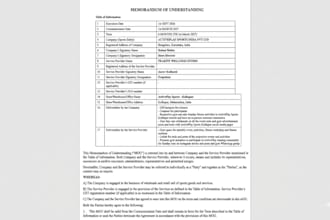 draft a professional memorandum of understanding mou