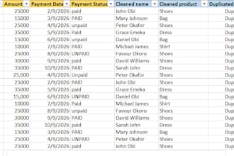 clean and organize your excel data