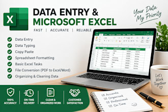 professional data entry, copy paste, web research