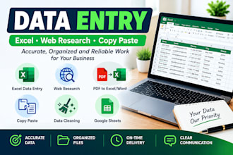 do accurate data entry, excel, web research and copy paste