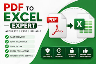 be your excel expert for PDF conversion and data analysis tasks