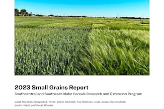 write agricultural research reports and technical content
