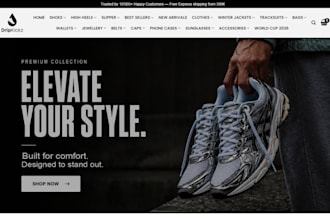 do shopify sneaker website, sneaker reselling websit, sneaker dropshipping store