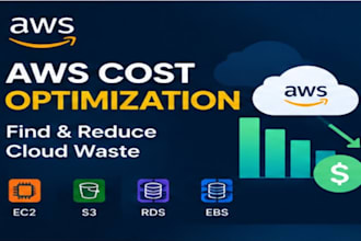 optimize AWS cloud costs