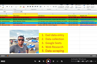 do excel data collection web research and data entry