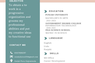 design a professional CV and resume