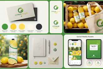 design a complete brand identity and startup style guide