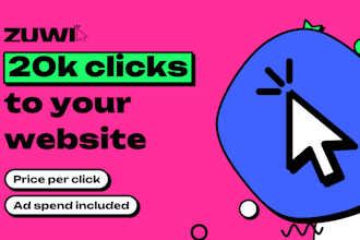 run an ads campaign that brings 20k clicks to your website