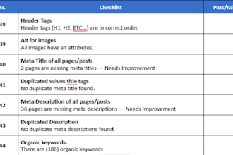 do a professional SEO audit report and competitor analysis