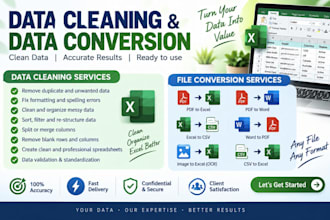 excel data cleaning and data entry