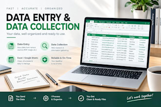 do data entry, data cleaning, web research and excel tasks