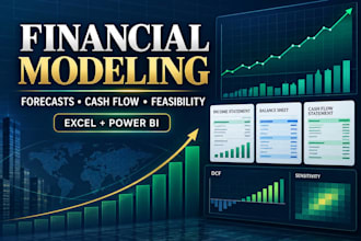 build a financial model, cash flow forecast and feasibility analysis