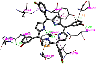 perform molecular docking analysis using autodock vina for your research