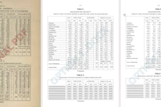 convert pdf, image, or handwriting to editable word docx
