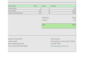 do professional excel data entry, invoicing and billing work
