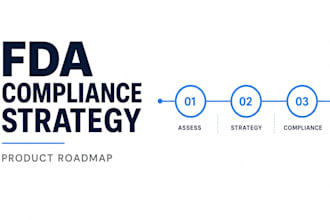 prepare an fda regulatory compliance strategy for your product