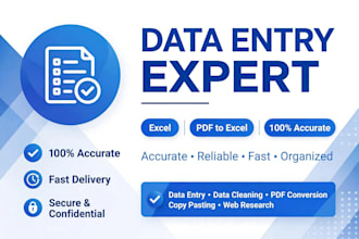 do data entry excel pdf to excel copy paste typing work