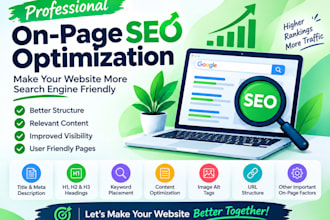 do professional on page SEO for your website
