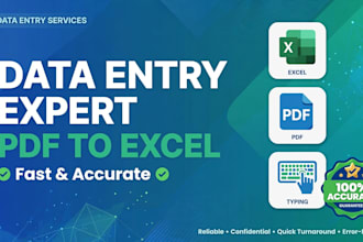 do excel data entry and pdf to excel typing work
