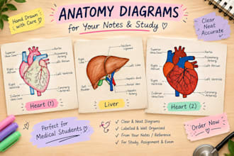 draw anatomy diagrams for your convenience