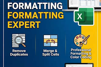 do excel data cleaning, formatting, and organize messy data