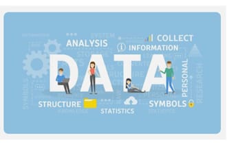 collect and organize business data professionally