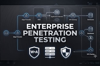 perform web application and network penetration testing
