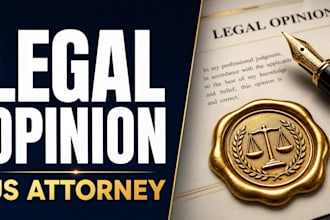 draft an authoritative US attorney legal opinion and case assessment