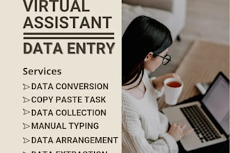 be your expert data entry and excel data cleaning specialist