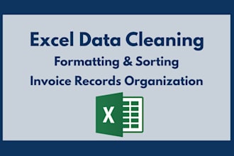 clean, format, and organize your business excel data