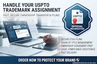 handle and file your uspto trademark office action response