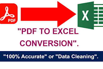 convert PDF to excel professionally