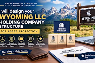 design your wyoming llc holding company structure for asset protection