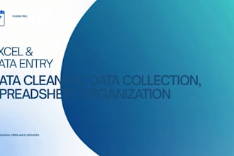 excel data entry and web research specialist