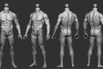 model articulated model for 3d printing,3d anatomy,bjd doll,zbrush sculptor,stl