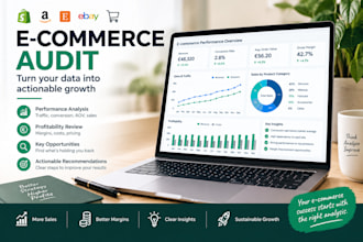 audit your e commerce business and identify ways to improve profitability