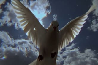 create an ai generated video for you