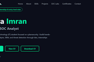 perform web application penetration testing and vapt assessment
