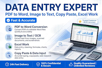 do fast deta entry, typing work, copy past and excel work