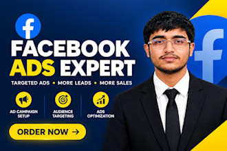 create and manage targeted facebook ads campaigns