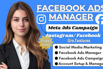 be your facebook ads manager, fb instagram marketing manager