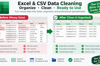 clean and organize your excel or CSV data