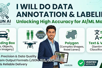 do high accuracy data annotation and data labeling
