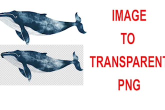 onvert your image or logo to a transparent png professionally