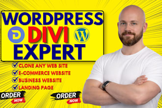 be divi expert for wordpress divi website, divi theme builder, divi builder